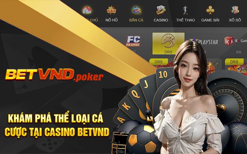 Khám phá thể loại cá cược tại casino Betvnd