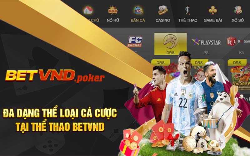 Đa dạng thể loại cá cược tại thể thao Betvnd